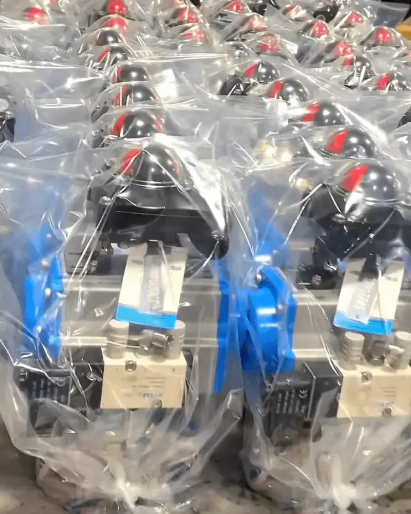 Packing of Pneumatic valve3