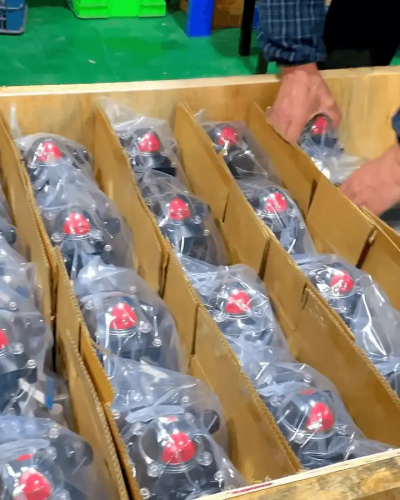 Packing of Pneumatic valve4